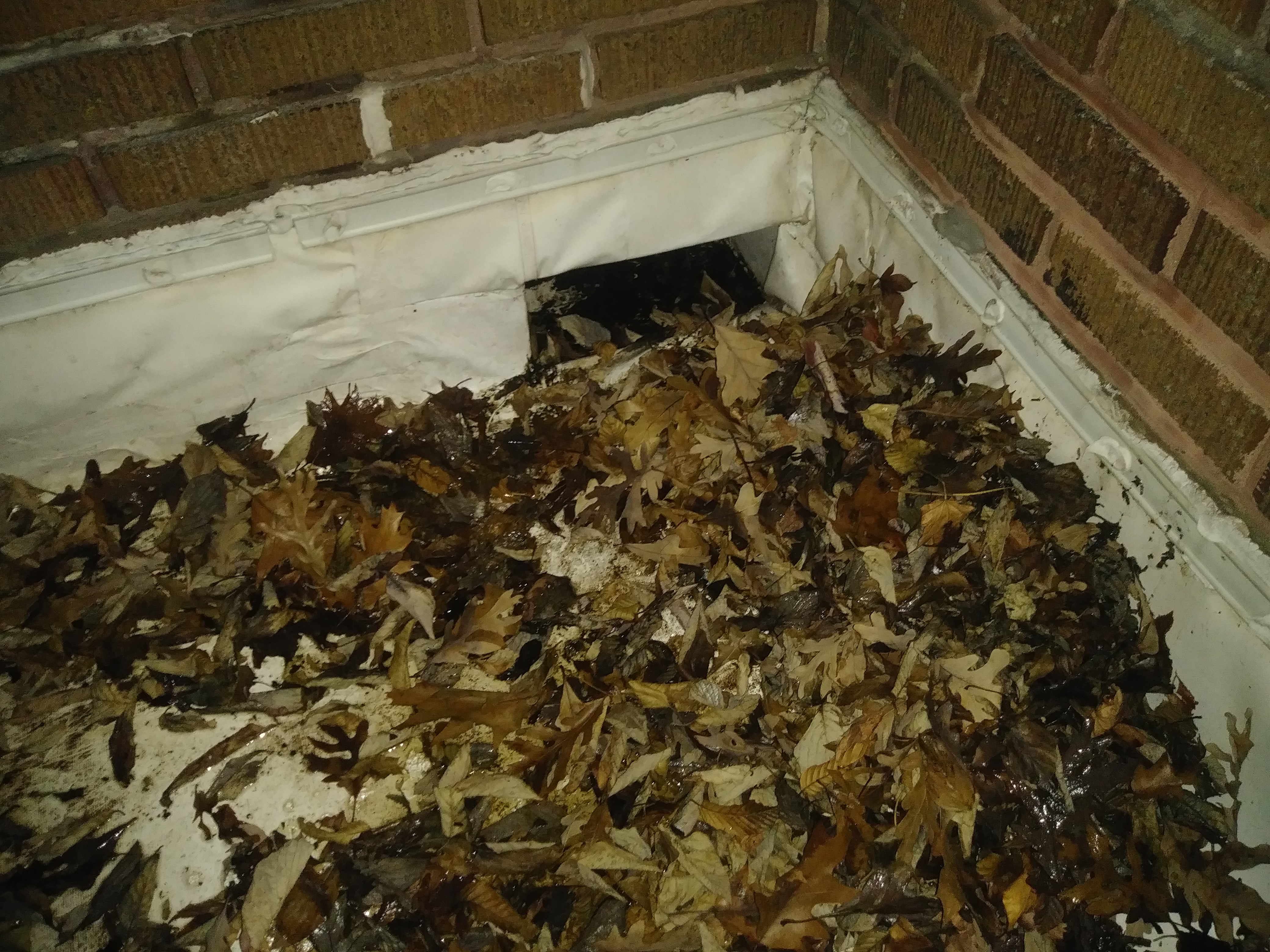 Gutter Cleaning Virginia Beach